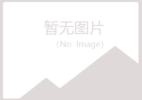 化德县夏岚金融有限公司